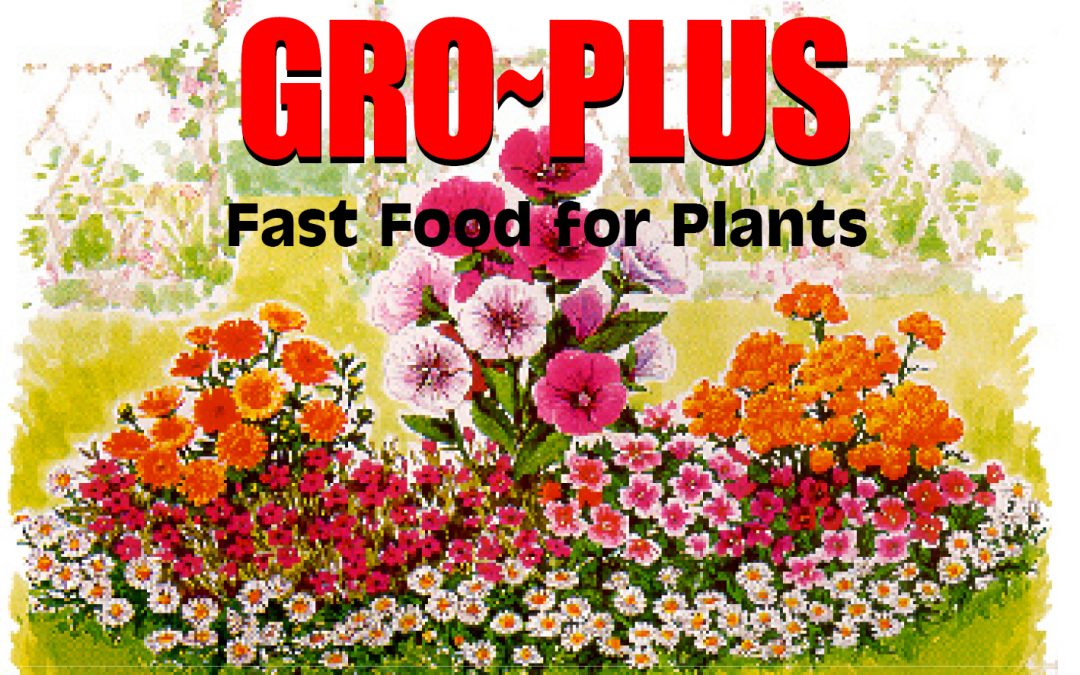 Gro~Plus – Fast Food for Plants