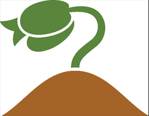 Seeds are living things