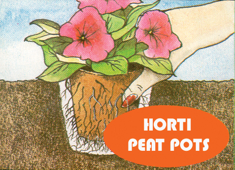 How to use Peat Pot