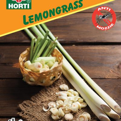 Lemongrass-柠檬香茅草-Front