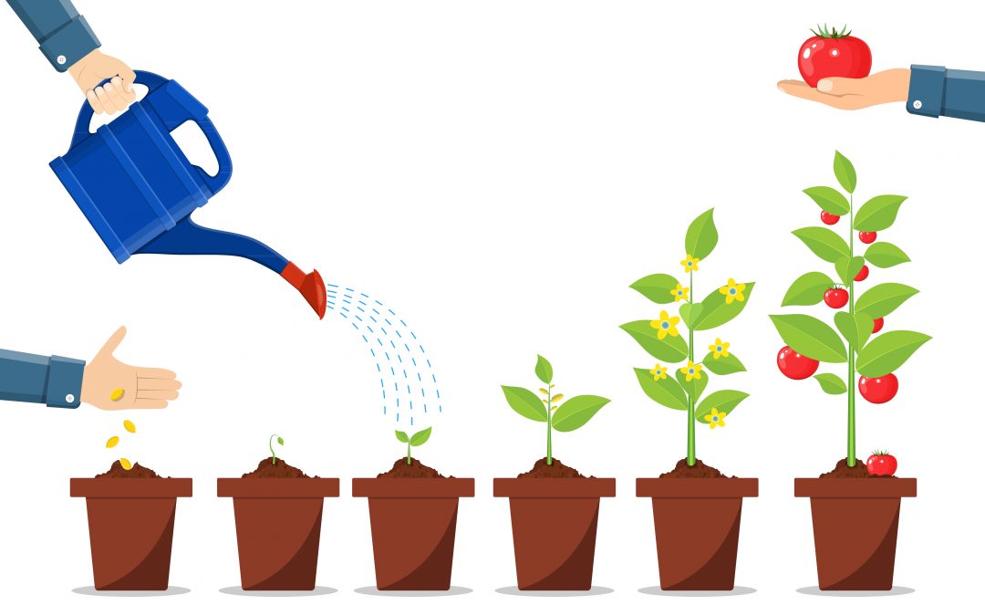 Checklist to Germination Troubles